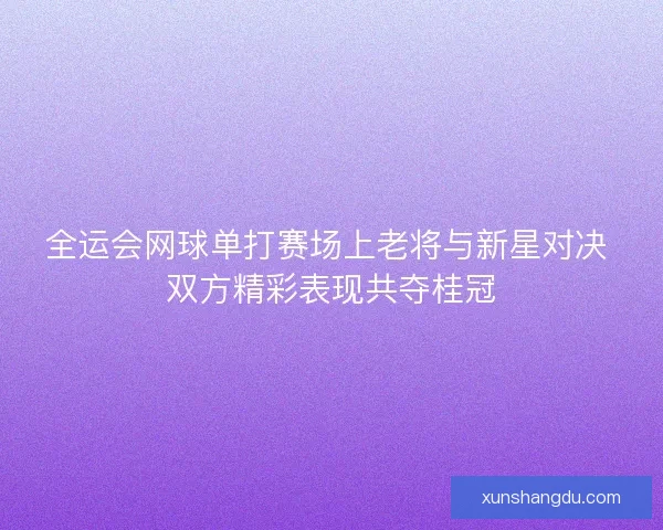 全运会网球单打赛场上老将与新星对决 双方精彩表现共夺桂冠